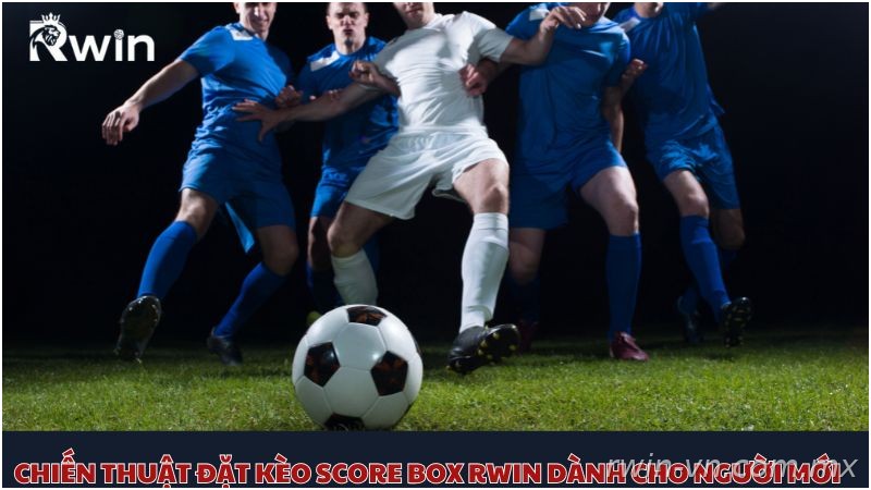 Chiến thuật chơi kèo Score Box hiệu quả cho người mới