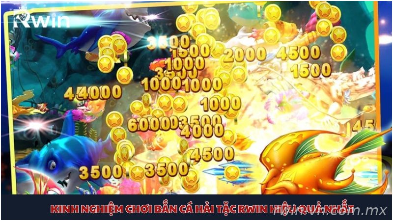 Kinh nghiệm bắn cá Hải Tặc Rwin